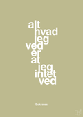 plakat: alt hvad jeg ved er at jeg intet ved - back to nature-Filosof-A1two3