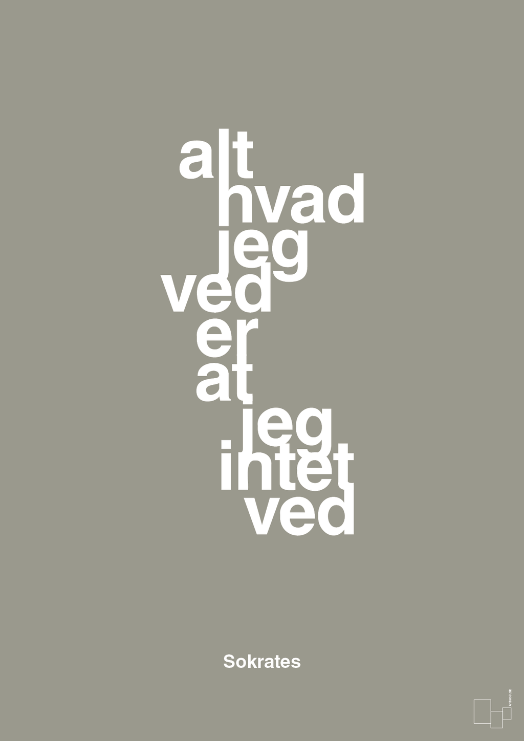 plakat: alt hvad jeg ved er at jeg intet ved - battleship gray-Filosof-A1two3