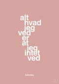 plakat: alt hvad jeg ved er at jeg intet ved - bubble shell-Filosof-A1two3