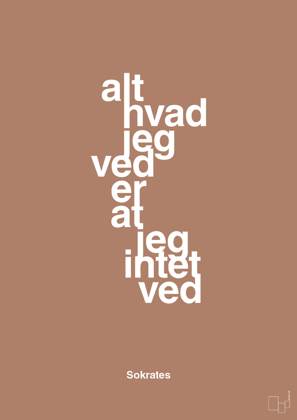 plakat: alt hvad jeg ved er at jeg intet ved - cider spice-Filosof-A1two3