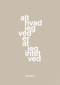 plakat: alt hvad jeg ved er at jeg intet ved - creamy mushroom-Filosof-A1two3
