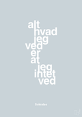 plakat: alt hvad jeg ved er at jeg intet ved - light drizzle-Filosof-A1two3