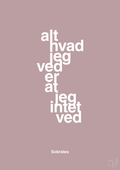 plakat: alt hvad jeg ved er at jeg intet ved - light rose-Filosof-A1two3