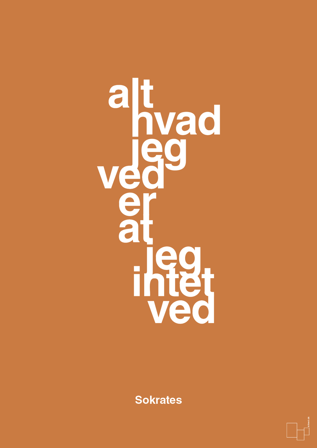 plakat: alt hvad jeg ved er at jeg intet ved - rumba orange-Filosof-A1two3