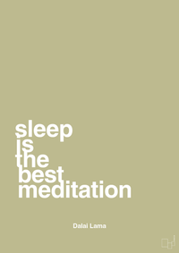 plakat: sleep is the best meditation