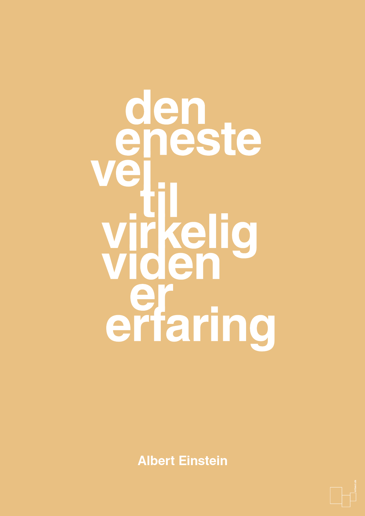 plakat: den eneste vej til virkelig viden er erfaring - charismatic-Fysiker-A1two3