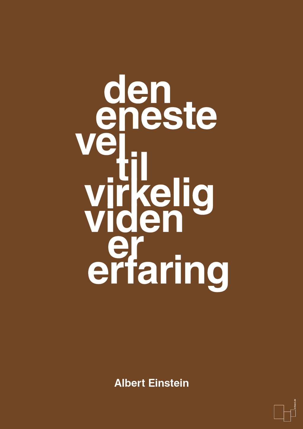 plakat: den eneste vej til virkelig viden er erfaring - dark brown-Fysiker-A1two3