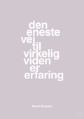 plakat: den eneste vej til virkelig viden er erfaring - dusty lilac-Fysiker-A1two3