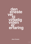 plakat: den eneste vej til virkelig viden er erfaring - plum-Fysiker-A1two3