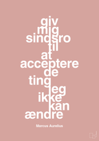 plakat: giv mig sindsro til at acceptere de ting jeg ikke kan ændre - bubble shell-Filosof-A1two3