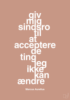 plakat: giv mig sindsro til at acceptere de ting jeg ikke kan ændre - powder-Filosof-A1two3