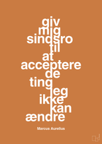 plakat: giv mig sindsro til at acceptere de ting jeg ikke kan ændre - rumba orange-Filosof-A1two3