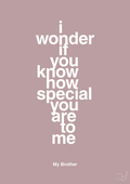 plakat: my brother - i wonder if you know how special you are to me - light rose-Familie-A1two3