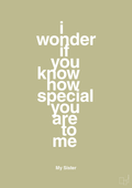 plakat: my sister - i wonder if you know how special you are to me - back to nature-Familie-A1two3