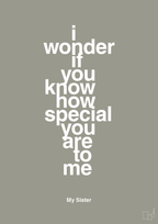 plakat: my sister - i wonder if you know how special you are to me - battleship gray-Familie-A1two3