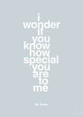 plakat: my sister - i wonder if you know how special you are to me - light drizzle-Familie-A1two3