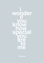 plakat: my sister - i wonder if you know how special you are to me - light drizzle-Familie-A1two3
