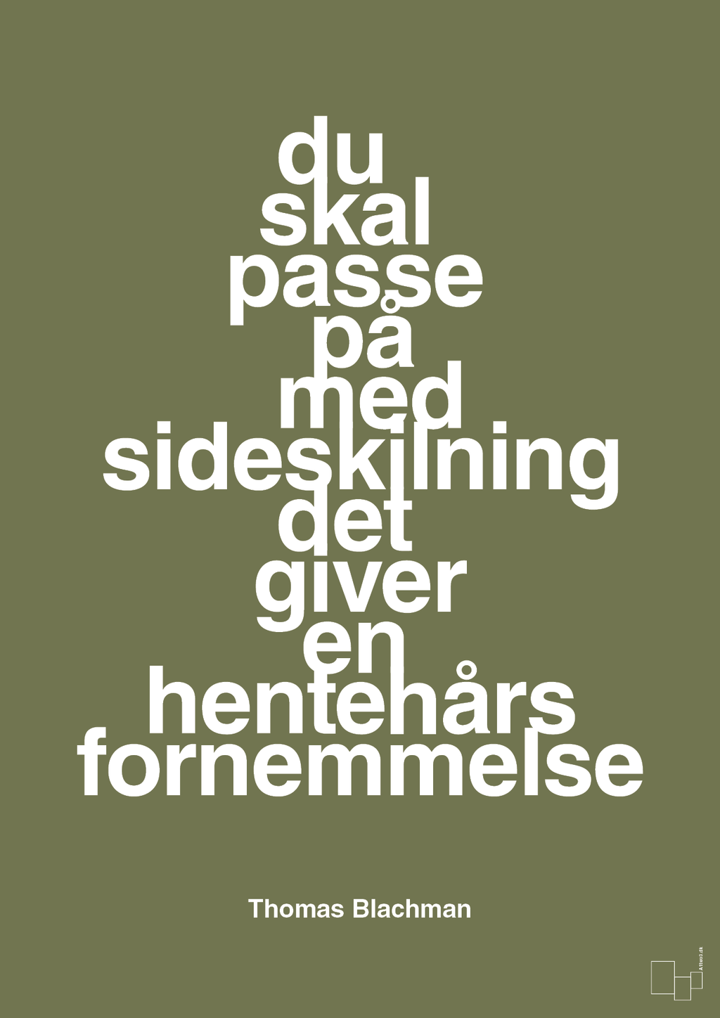 plakat: du skal passe på med sideskilning det giver en hentehårs fornemmelse - secret meadow-Musiker-A1two3