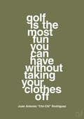 plakat: golf is the most fun you can have without taking your clothes off - secret meadow-Golf-A1two3