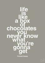 plakat: life is like a box of chocolates you never know what you're gonna get - battleship gray-Film & TV-A1two3