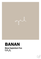plakat: banan - creamy mushroom-Kemi-A1two3