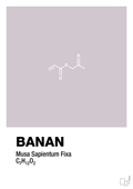 plakat: banan - dusty lilac-Kemi-A1two3