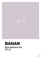 plakat: banan - dusty lilac-Kemi-A1two3