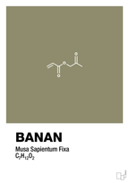 plakat: banan - misty forrest-Kemi-A1two3