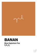plakat: banan - rumba orange-Kemi-A1two3