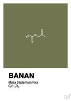 plakat: banan - secret meadow-Kemi-A1two3