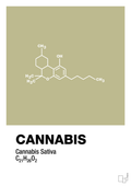 plakat: cannabis - back to nature-Kemi-A1two3