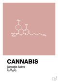plakat: cannabis - bubble shell-Kemi-A1two3