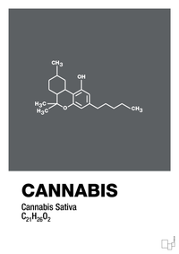 plakat: cannabis