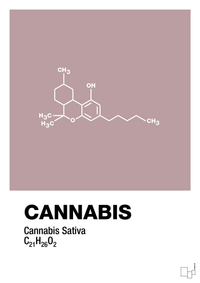 plakat: cannabis