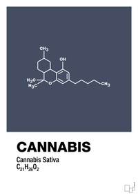 plakat: cannabis