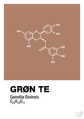 plakat: grøn te - cider spice-Kemi-A1two3