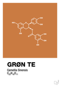 plakat: grøn te - rumba orange-Kemi-A1two3