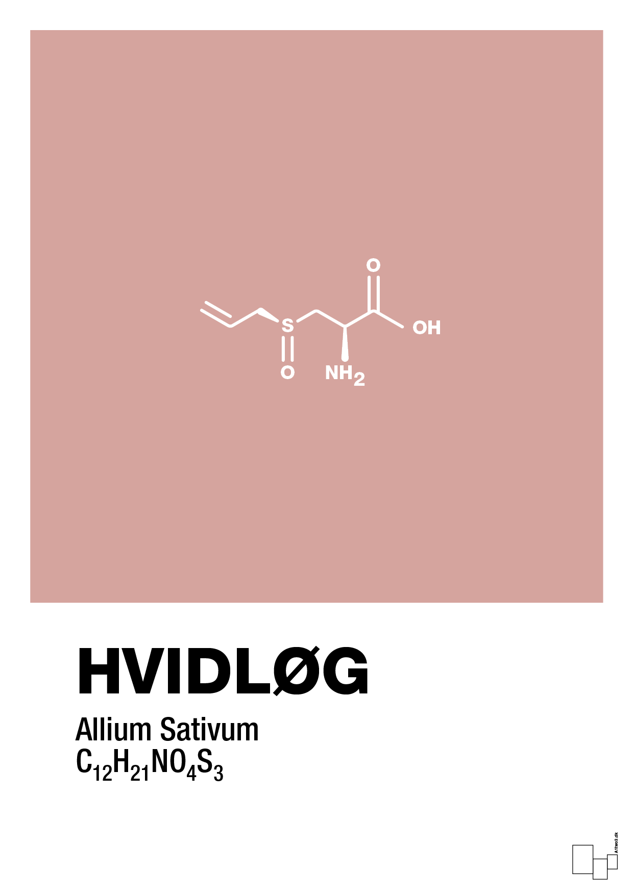plakat: hvidløg - bubble shell-Kemi-A1two3