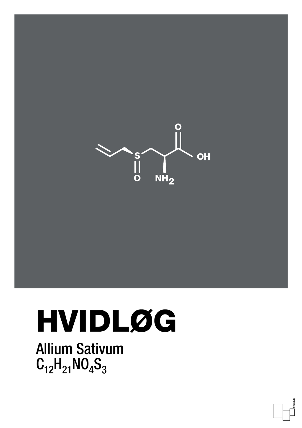 plakat: hvidløg - graphic charcoal-Kemi-A1two3