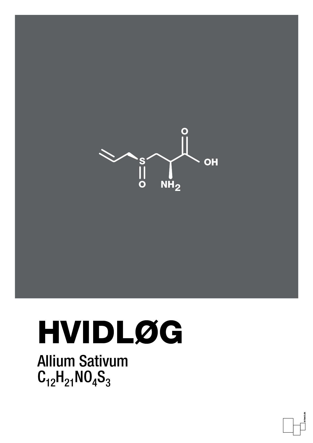 plakat: hvidløg - graphic charcoal-Kemi-A1two3