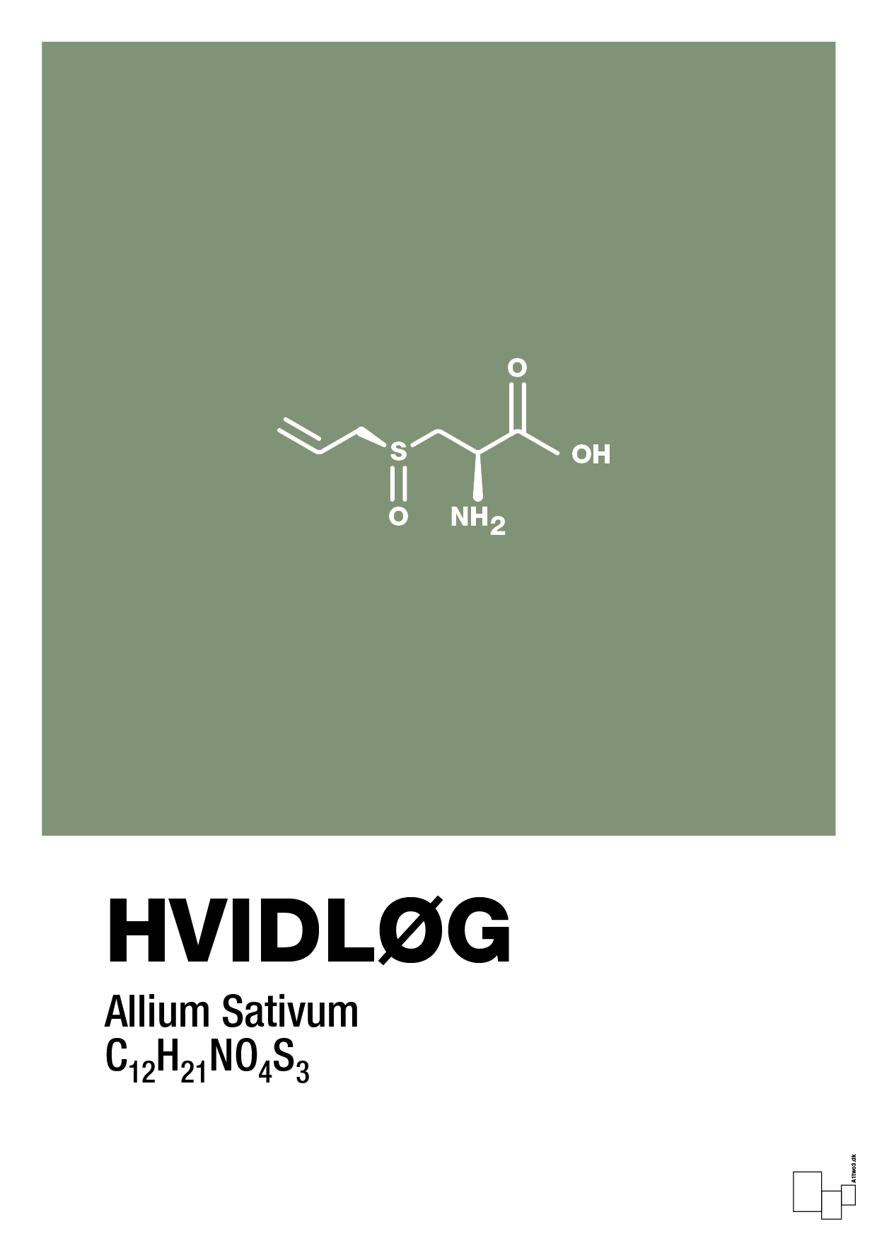 plakat: hvidløg - jade-Kemi-A1two3