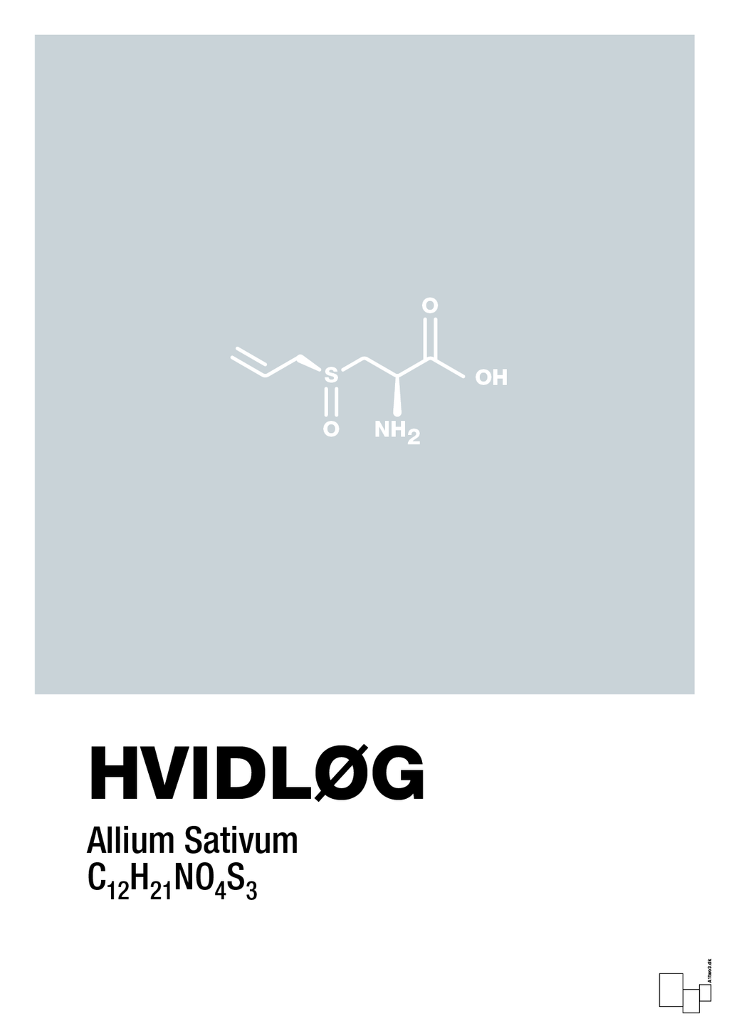 plakat: hvidløg - light drizzle-Kemi-A1two3