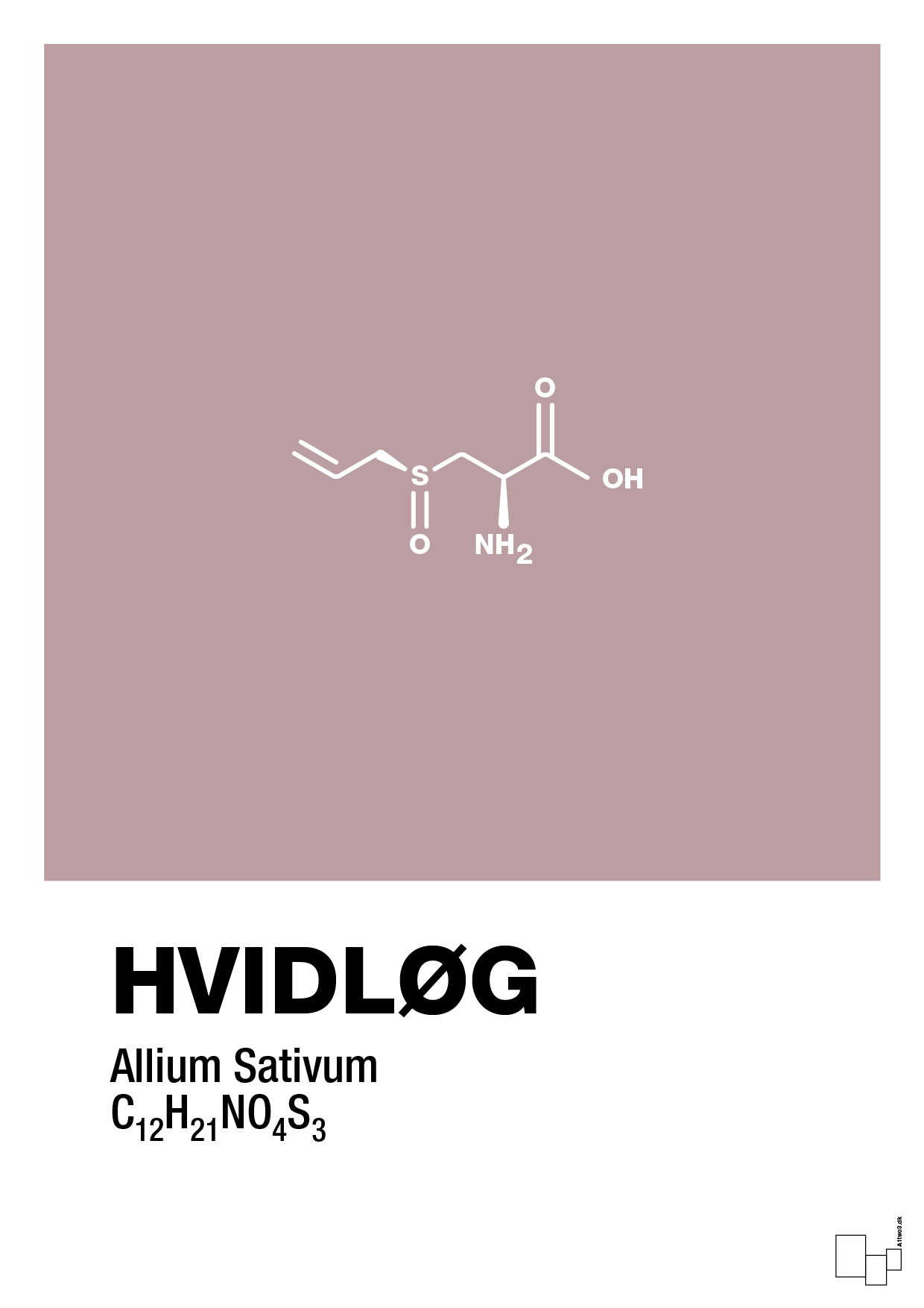plakat: hvidløg - light rose-Kemi-A1two3