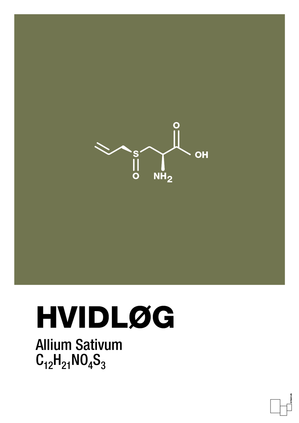 plakat: hvidløg - secret meadow-Kemi-A1two3