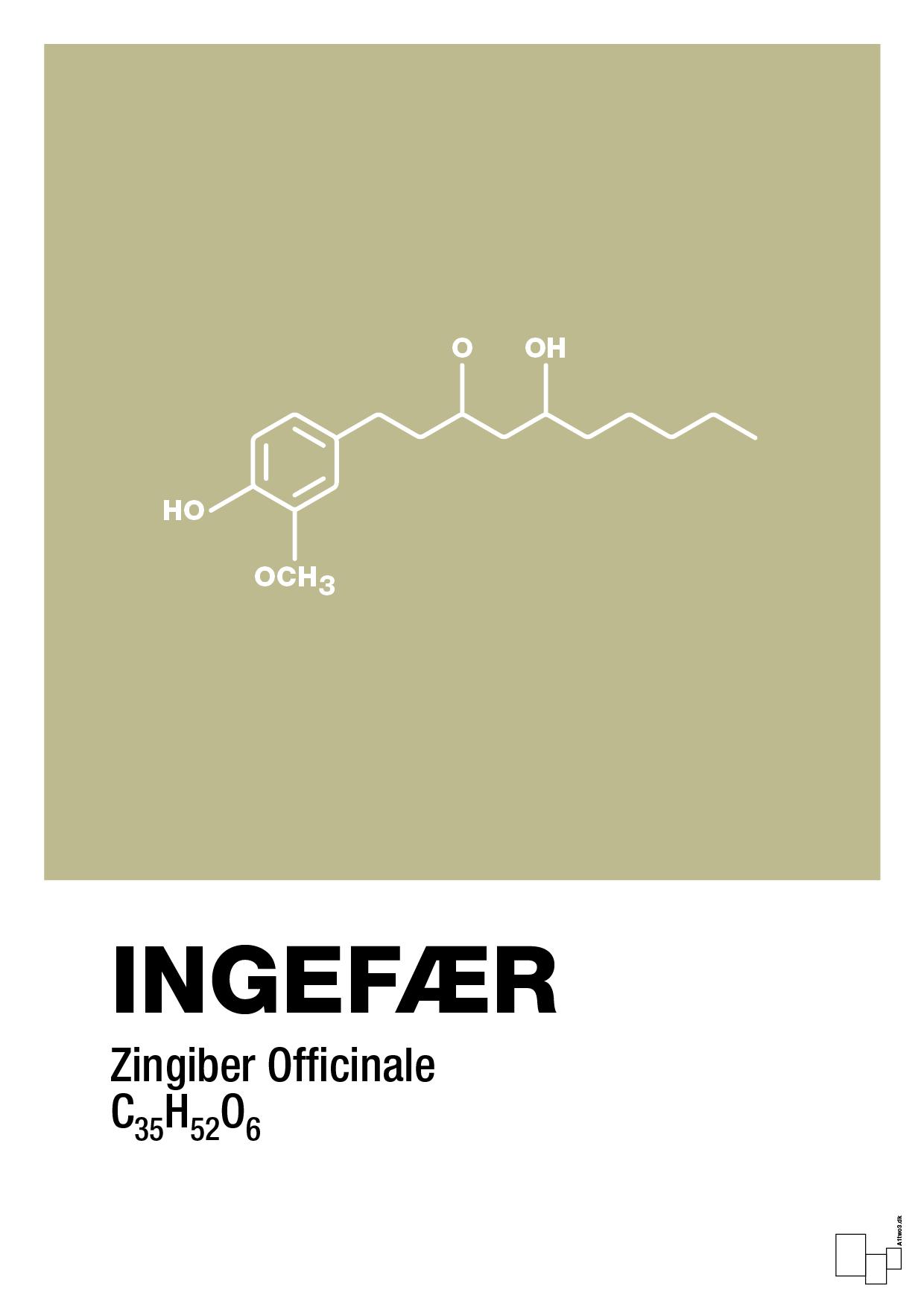 plakat: ingefær - back to nature-Kemi-A1two3