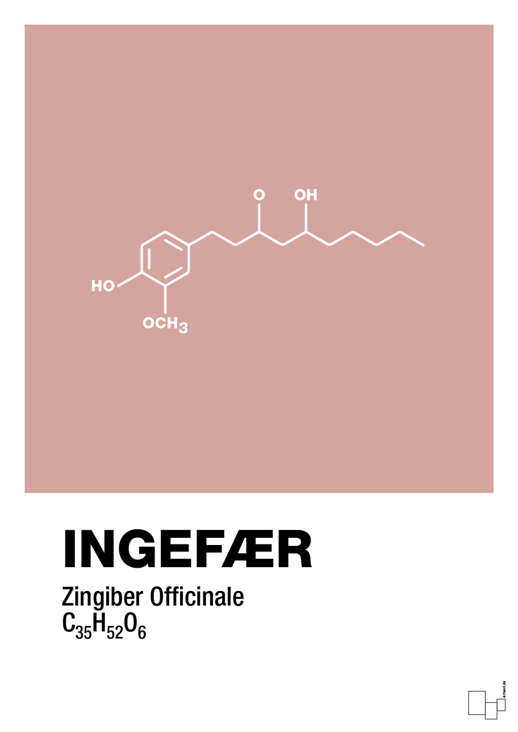 plakat: ingefær - bubble shell-Kemi-A1two3