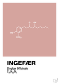 plakat: ingefær - bubble shell-Kemi-A1two3