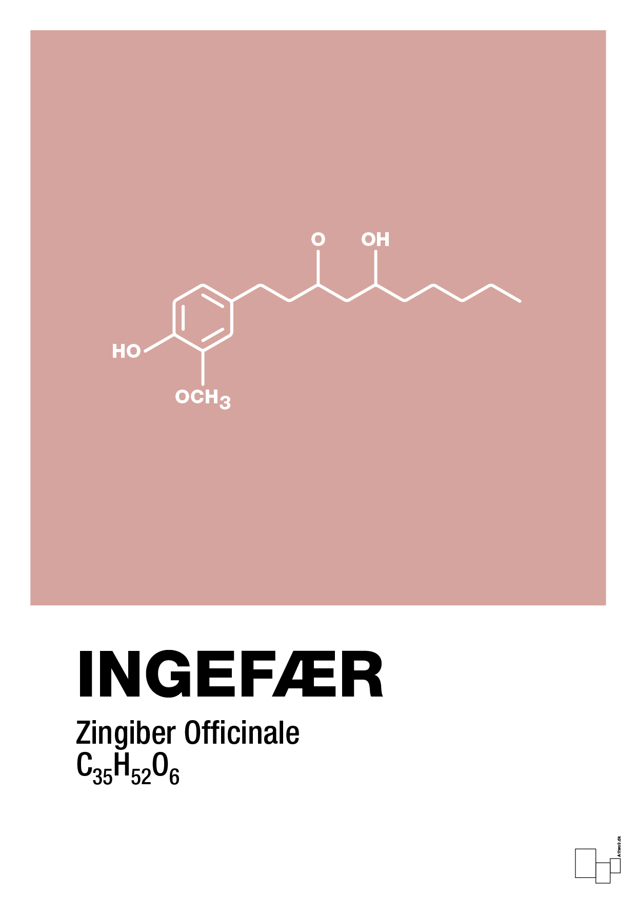 plakat: ingefær - bubble shell-Kemi-A1two3