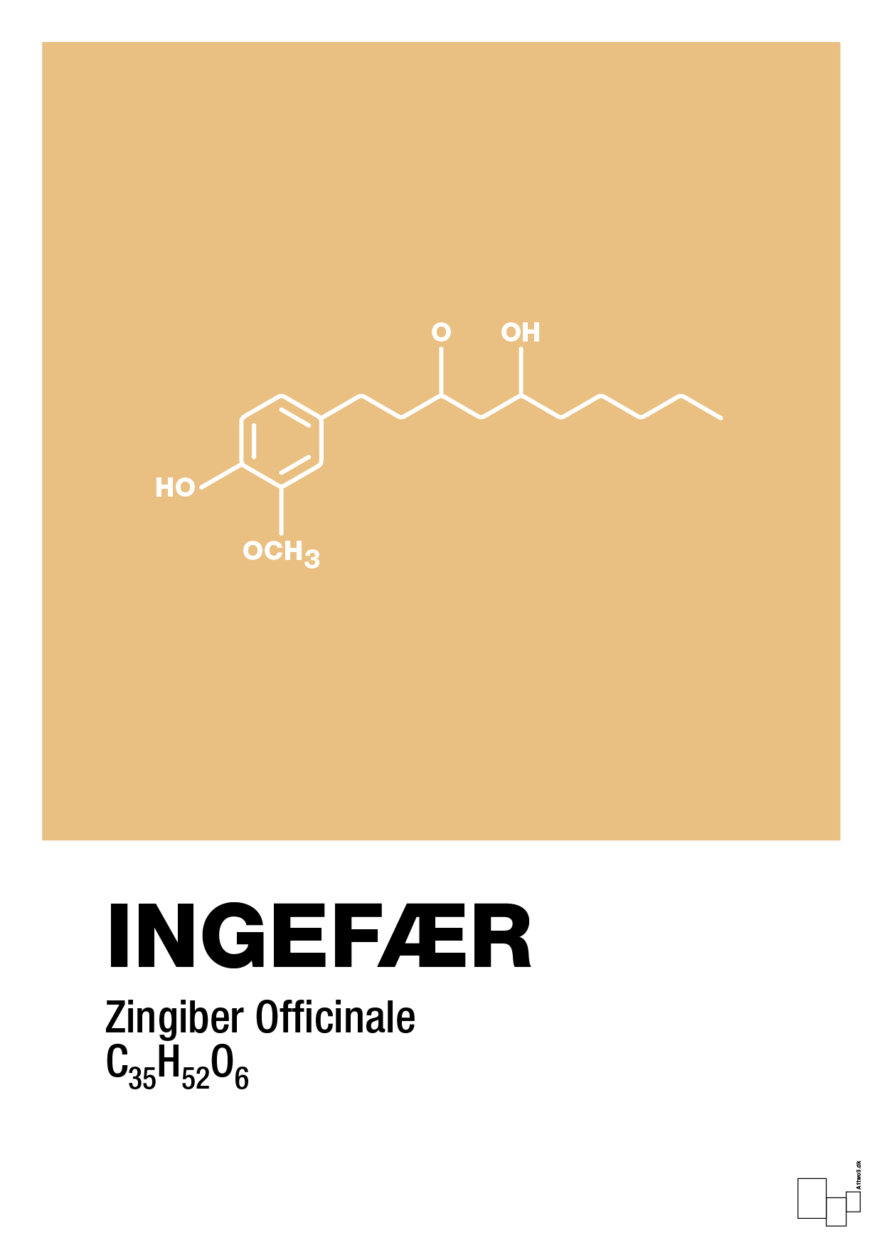 plakat: ingefær - charismatic-Kemi-A1two3