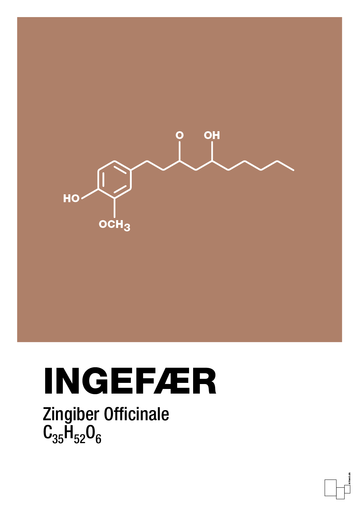 plakat: ingefær - cider spice-Kemi-A1two3